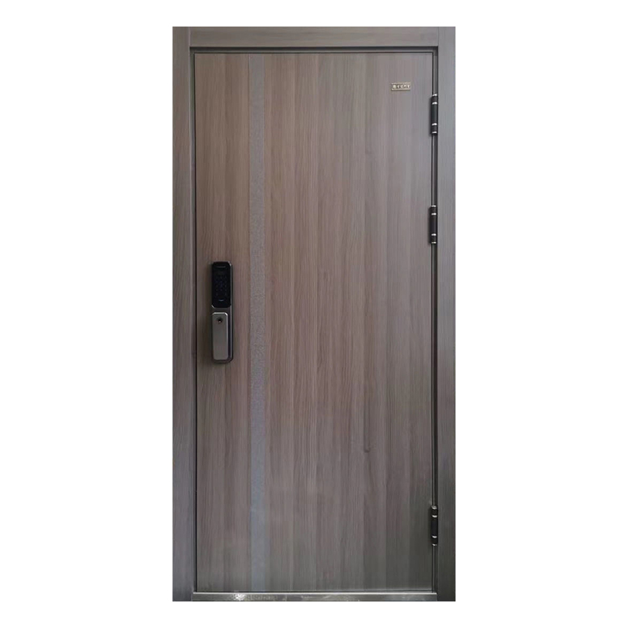 New Security Door